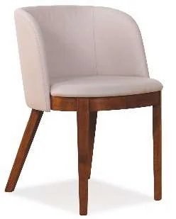 Unique Dining Chair